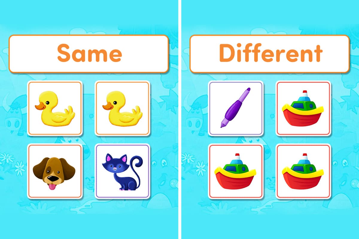 Same or Different toddler matching game.